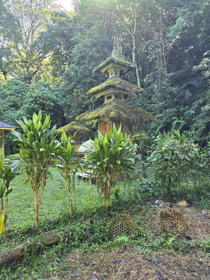 Munduk: Twin Lakes Jungle Hike with Lake Canoe and Waterfall - Balinese Food Break: Drinks Included and Lunch Options