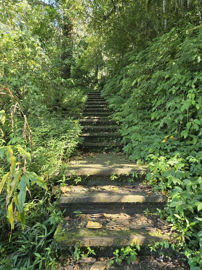 Munduk: Twin Lakes Jungle Hike with Lake Canoe and Waterfall - Price and Logistics: Is $44 Good Value for This Mix?