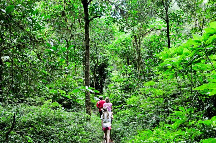 Munduk: Twin Lakes Jungle Hike with Lake Canoe and Waterfall - Hotel Pickup and the Scenic Drive Toward Lake Tamblingan
