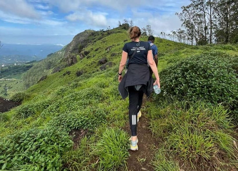 Munnar mountain hiking (Full day) - Tea plantations: learning the industry as you walk