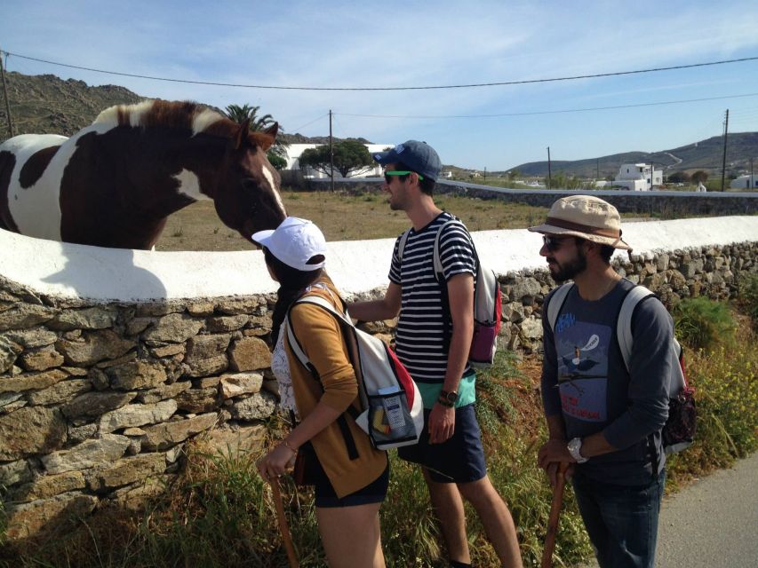 Mykonos Hiking Adventure - Option A (easy): Mirsinis beach and a clean finish