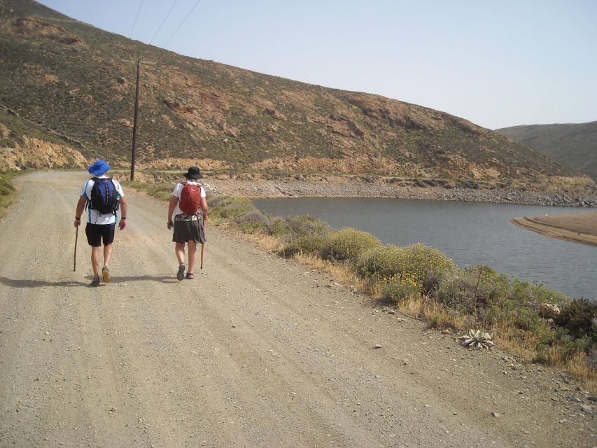 Mykonos Hiking Adventure - Option B (stronger): The Wind views, eucalyptus lunch, and Elm shipyards