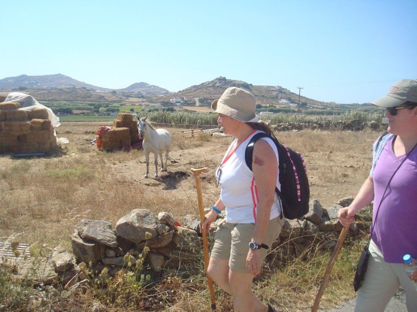 Mykonos Hiking Adventure - Pickup, timing, and remote-area fees: the stuff that can spoil a day