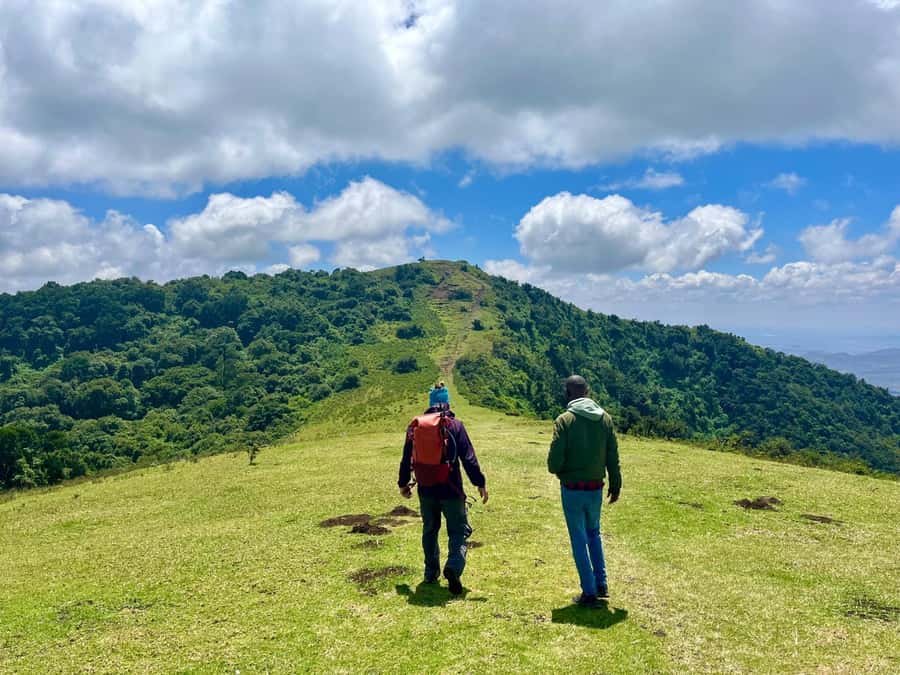 NAIROBI:Ngong Hills Day Hike,Group Tour - Walking Through Planted Forest: Easy-Going Climbing With Context