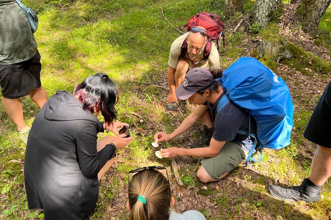 National Park Hike & Finnish Smoke Sauna Experience with Campfire Lunch - Smoke sauna in the forest: sweat, cool down, repeat