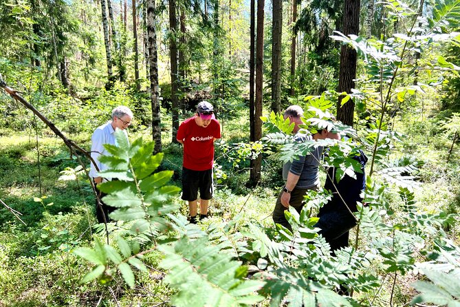 National Park Hike & Finnish Smoke Sauna Experience with Campfire Lunch - Private transport and small group energy: why the day stays friendly