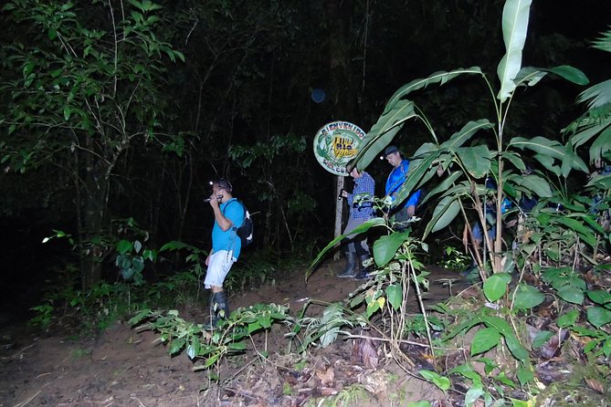 Nativos Corcovado Night Hike in DrakeBay - Key Highlights You Should Care About