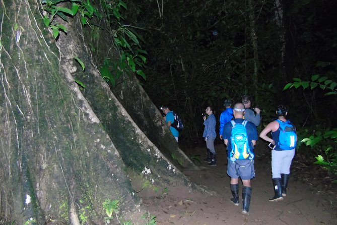 Nativos Corcovado Night Hike in DrakeBay - What You Might See After Dark: Frogs, Spiders, Reptiles, and Tracks