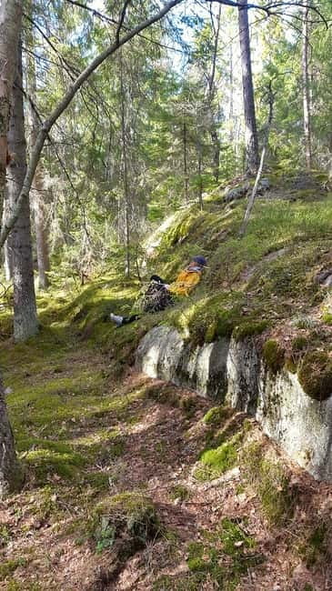 Nature Hike from Stockholm - Key Things to Know Before You Go