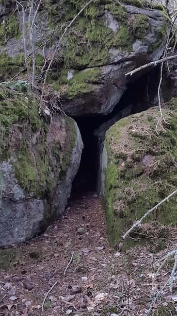 Nature Hike from Stockholm - Why This Stockholm Nature Hike Feels Worth It