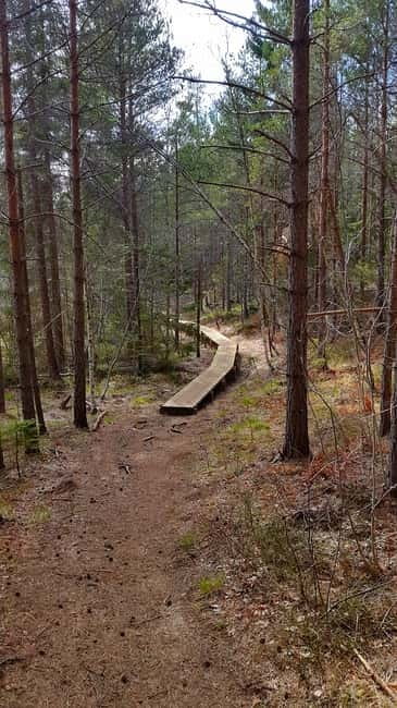 Nature Hike from Stockholm - Sörmansleden Joins the Route: The Climb and the Big Scene Change