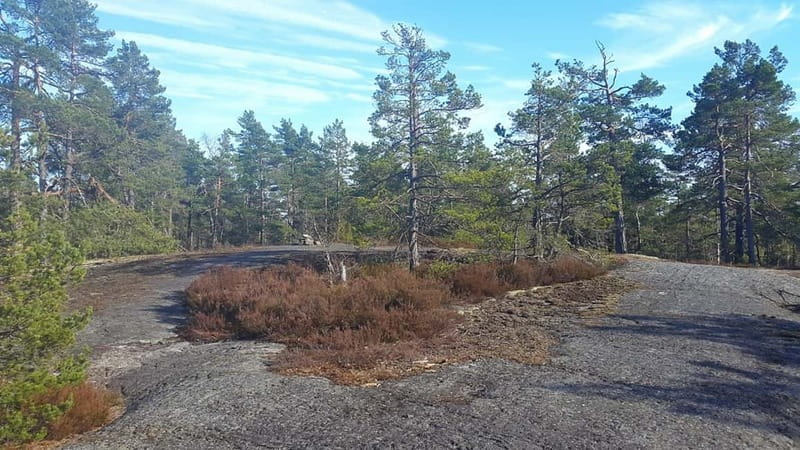 Nature Hike from Stockholm - Open Green Forest and a Lake Finish: The Last Stretch and the Swim Option