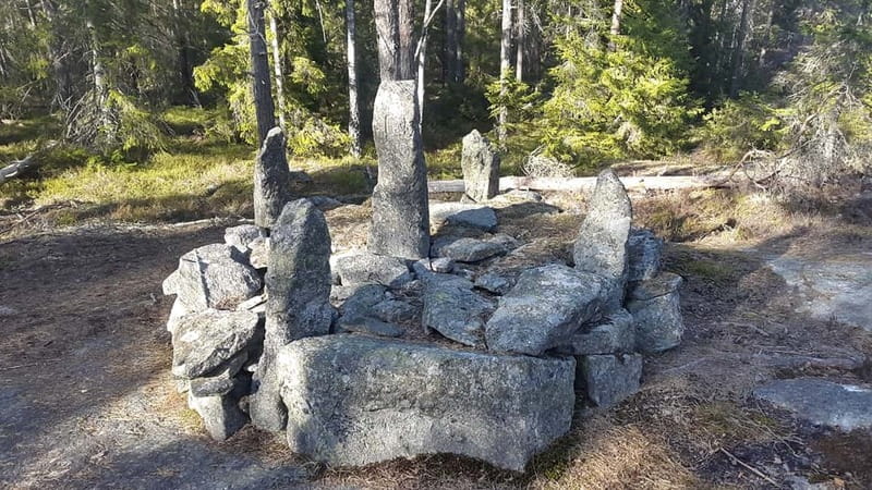 Nature Hike from Stockholm - Fitness, Footwear, and Who This Tour Fits Best