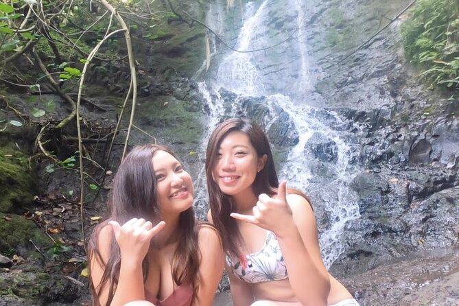 Nature Hike to Waterfall - Makapu’u Point: The South Shore Stops That Look Good in Every Direction