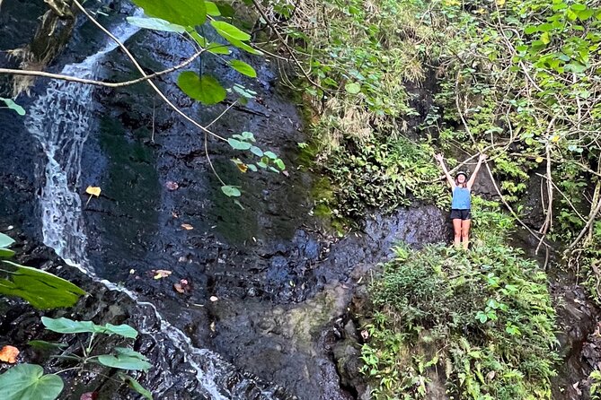 Nature Hike to Waterfall - Nu’uanu Pali: Windward Views You Can Actually Use for Photos