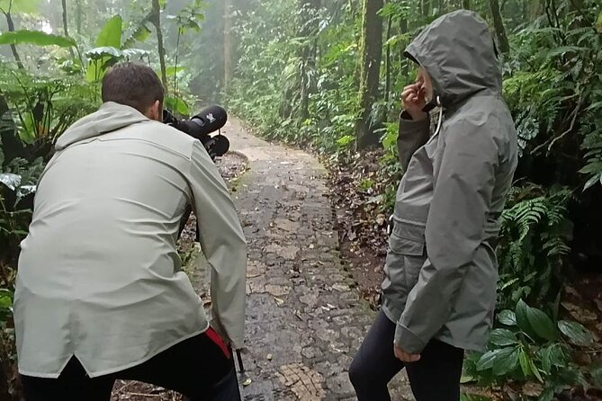 Nature Tour in the Monteverde Cloud Forest - The guided walk through the cloud forest: moss, trees, and why it all matters
