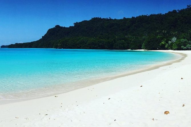 Nguna Island Full Day Hike and Snorkeling Adventure from Port Vila Vanuatu - Snorkelling and swimming on Pele’s lagoon or reef