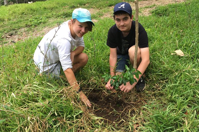 Nguna Island Full Day Hike and Snorkeling Adventure from Port Vila Vanuatu - How to think about the $156.36 price and real value