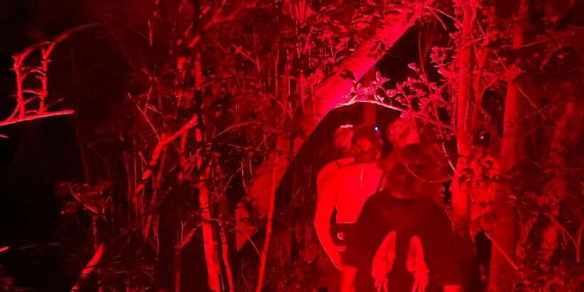 Night Hike to see Elusive & Rare Loris in Sigiriya - Ethics and conservation: what the Back of Beyond angle means for your value