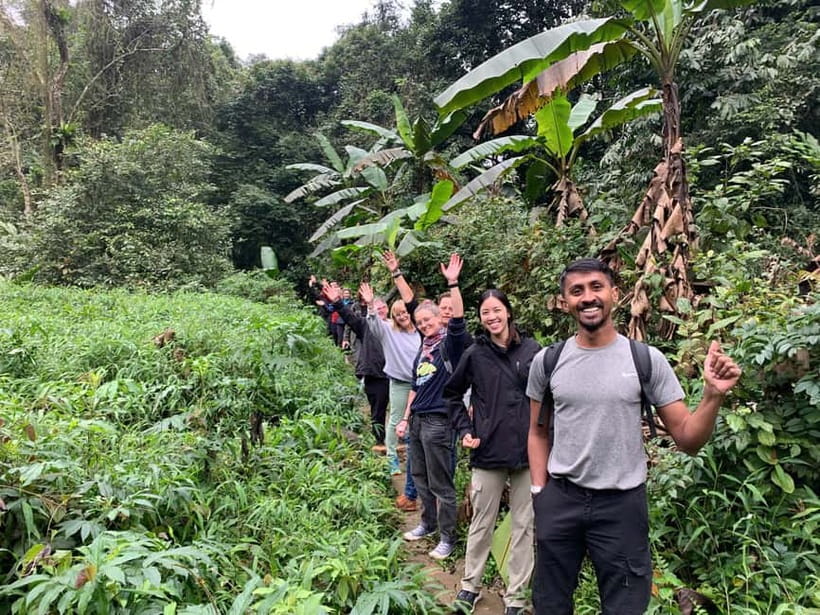 Ninh Binh: Cuc Phuong Jungle Hike & Wildlife Day Trip - Lunch inside the park: fuel with a quiet setting