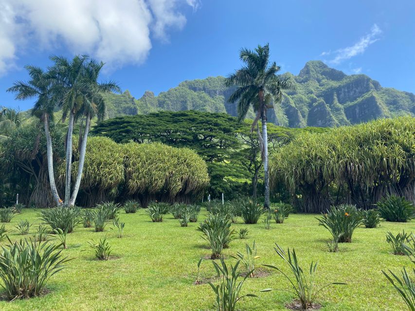 Oahu: Diamond Head Crater Hike and North Shore Experience - Who should book—and who should skip