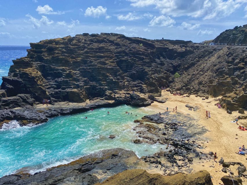Oahu: Diamond Head Crater Hike and North Shore Experience - Tropical Farms Macadamia Nuts: sampling local growers