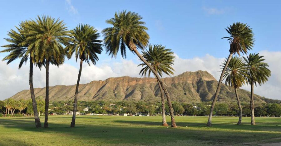 Oahu: Diamond Head Hike with Roundtrip Transportation - The Summit Payoff: 360-Degree Views of Waikiki and the Pacific