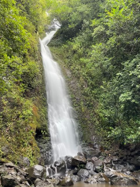 Oahu: Hidden Hawaii Waterfall Hike and Beach Tour - A Short, Local-Style Day on Oahu: Pickup to Waterfall to Beach