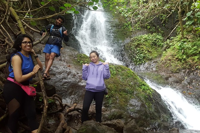 Oahu Hidden Waterfall Hike: A Tropical Paradise Adventure - The Trail Profile: Less Than Two Miles, Mild to Moderate in Practice