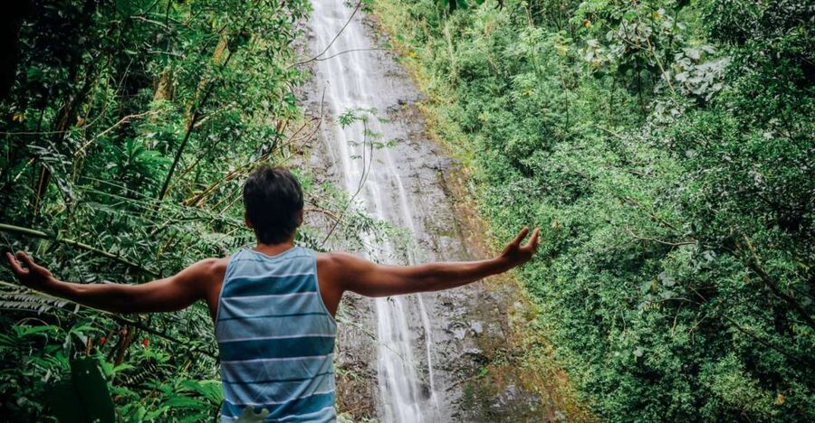 Oahu: Manoa Falls Waterfall Hike with Lunch and Transfers - What makes this tour worth considering