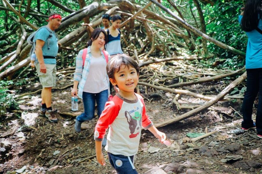 Oahu: Manoa Falls Waterfall Hike with Lunch and Transfers - Price and value: is $119 fair for this 5-hour setup?