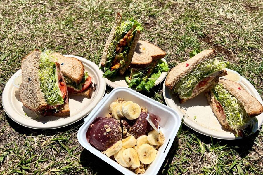 Oahu: Manoa Falls Waterfall Hike with Lunch and Transfers - Key points worth knowing before you go