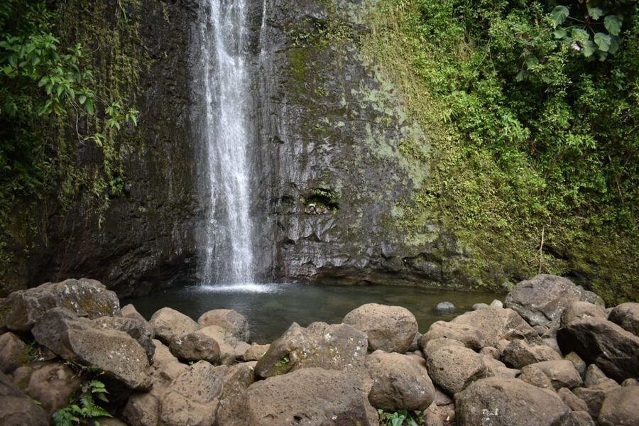 Oahu: Manoa Falls Waterfall Hike with Lunch and Transfers - What to pack for a rainy, slippery Oahu rainforest hike