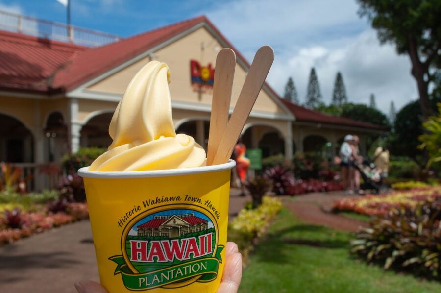 Oahu: Valley of Waimea Falls Swim & Hike with Lunch & Dole - The Waimea Valley hike: easy distance, lots of variety