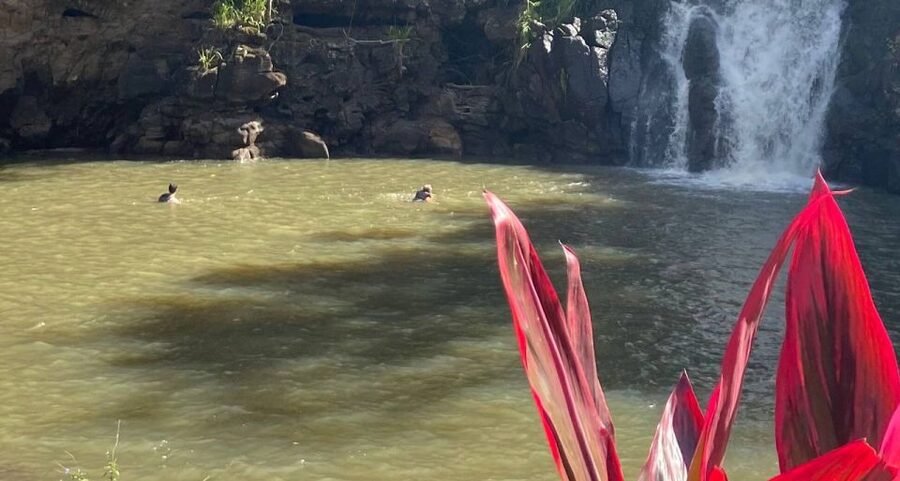 Oahu: Valley of Waimea Falls Swim & Hike with Lunch & Dole - Botanical garden time and Hawaiian culture lessons you can feel