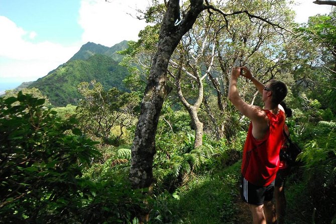 Oahu Volcanic Rainforest Hiking Adventure - Key highlights you’ll feel immediately
