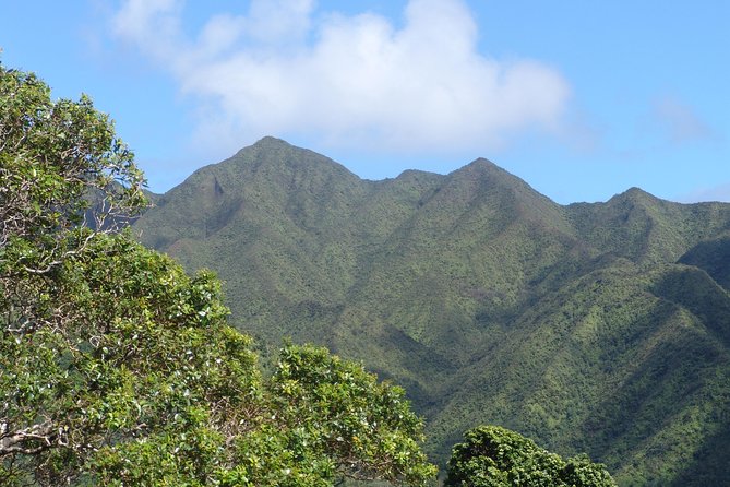 Oahu Volcanic Rainforest Hiking Adventure - What’s included: poncho, repellent, hip pack, water, and light snacks