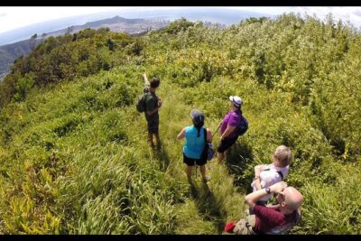 Oahu Volcanic Rainforest Hiking Adventure - Hotel pickup from Waikiki and Aloha Tower: start strong, not stressed
