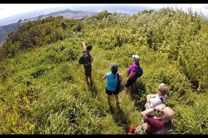 Oahu Volcanic Rainforest Hiking Adventure - Hotel pickup from Waikiki and Aloha Tower: start strong, not stressed