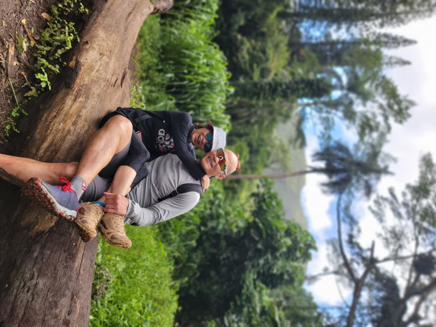 Oahu: Waikiki E-Bike Ride and Manoa Falls Hike - Pace, group size, and why small matters here