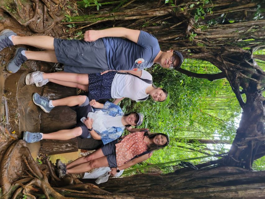 Oahu: Waikiki E-Bike Ride and Manoa Falls Hike - Price and value: does $189 make sense?