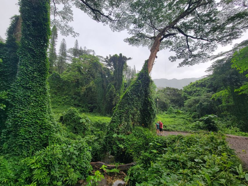Oahu: Waikiki E-Bike Ride and Manoa Falls Hike - What to wear and bring (so the day feels easy)