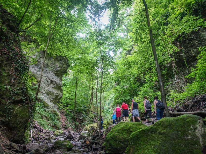 One Day Wonder Hike - The Essence of the Danube Bend - Predikaloszek summit: the viewpoint locals keep coming back for