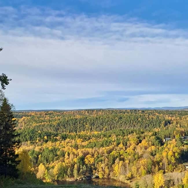 Oslo: Scenic Forest Hike with Dog & Local Guide - Key highlights to know before you go