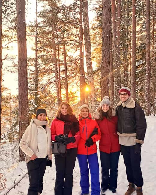 Oslo: Scenic Forest Hike with Dog & Local Guide - Dog and forest: why this hike feels like a local day out