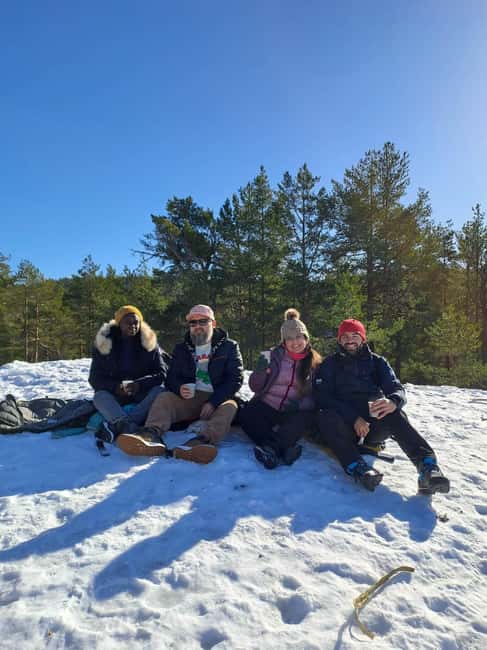 Oslo: Scenic Forest Hike with Dog & Local Guide - How the 2.5 hours actually play out stop by stop
