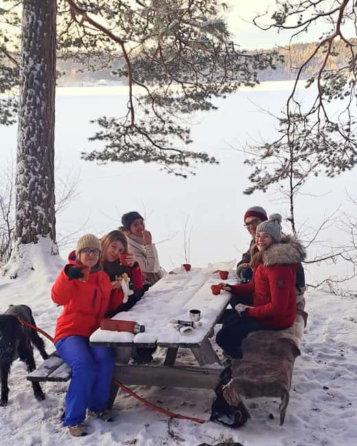Oslo: Scenic Forest Hike with Dog & Local Guide - From Kolbotn to the forest edge: the setup that makes the day easy