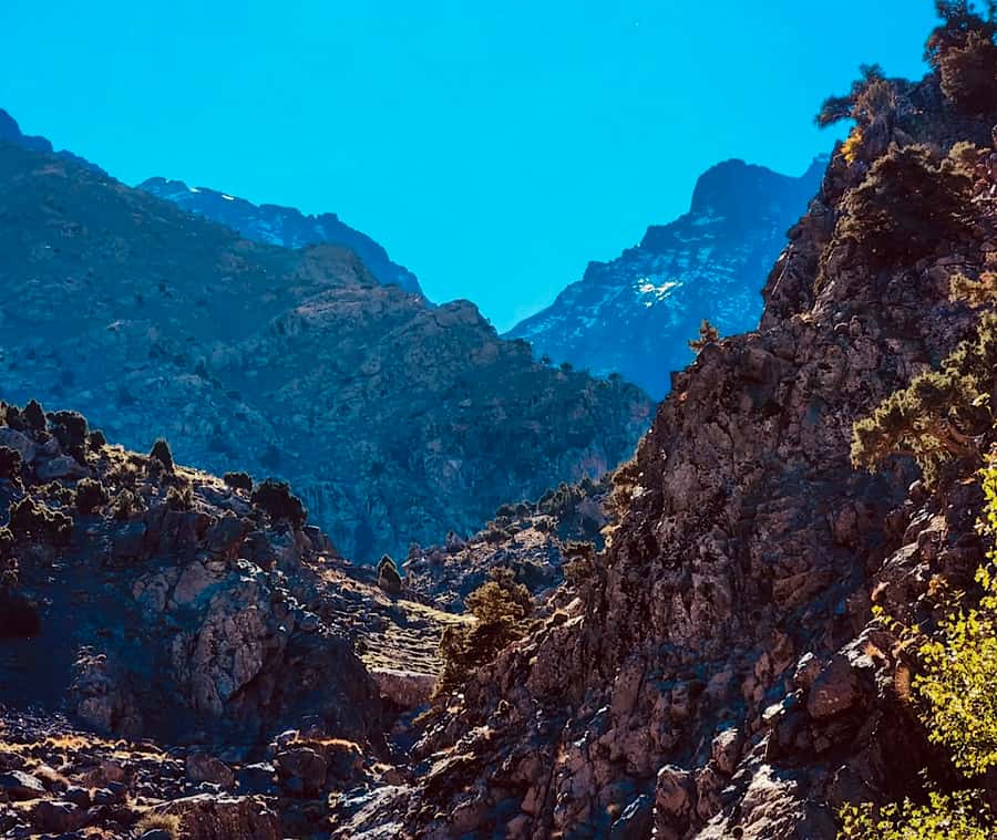 Ourika Valley: Quad Biking,Camel Riding,and Hiking Adventure - Viewpoint, Berber House Tea, and the Argan Cooperative Moment