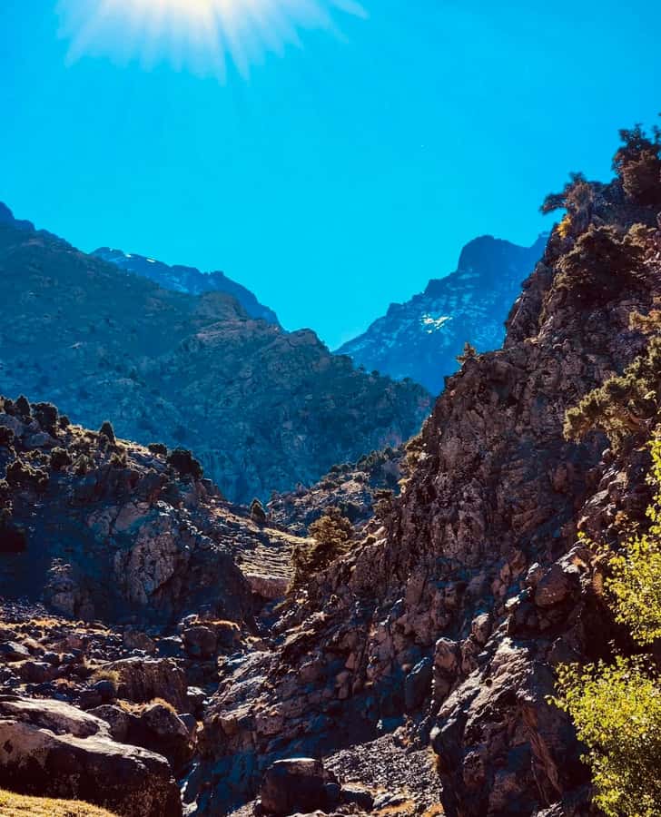 Ourika Valley: Quad Biking,Camel Riding,and Hiking Adventure - Ourika Valley Waterfall Hike: How to Plan for the 2 Hours