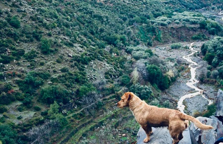 Ourika Valley: Quad Biking,Camel Riding,and Hiking Adventure - Quad Biking and Camel Ride: Adrenaline With a Culture Twist